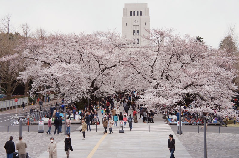 12年の桜模様 多摩川園 田園調布 大岡山 東京工業大学 たいにー すちゃらかのーと