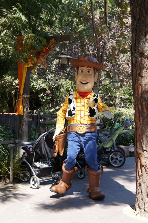 魅惑のサンディエゴ旅行（7）～カリフォルニア・ディズニーランドへ